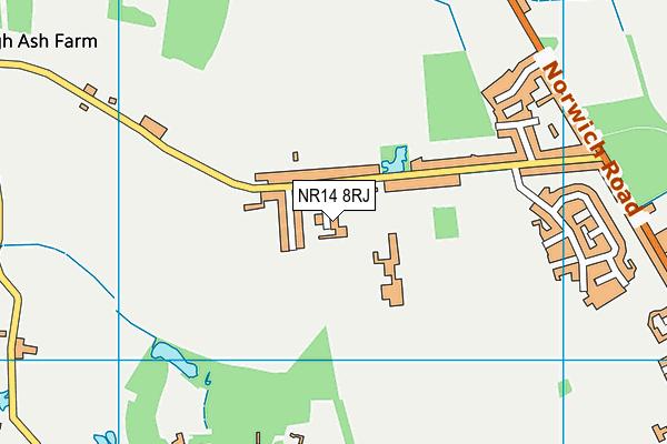NR14 8RJ map - OS VectorMap District (Ordnance Survey)