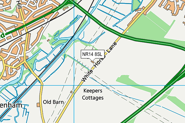 NR14 8SL map - OS VectorMap District (Ordnance Survey)