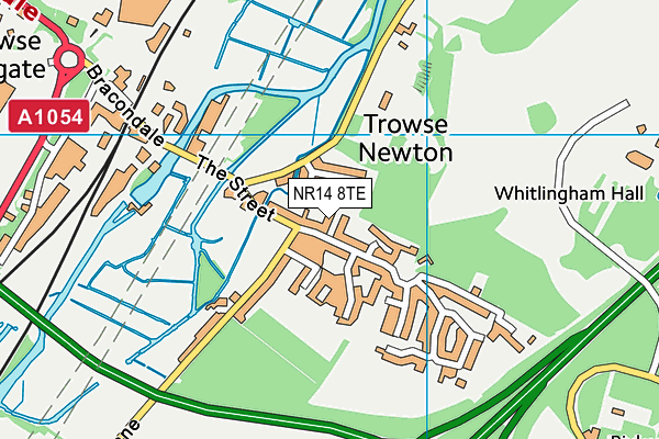 NR14 8TE map - OS VectorMap District (Ordnance Survey)