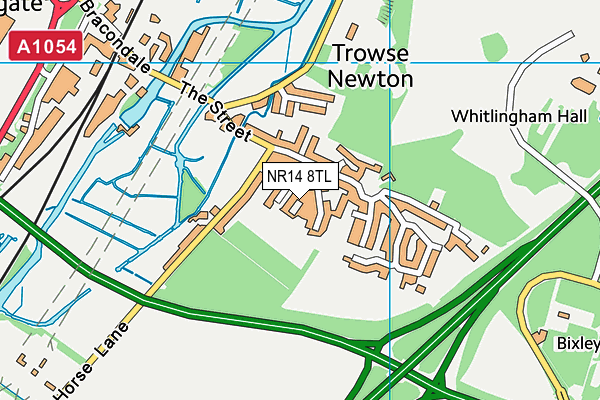NR14 8TL map - OS VectorMap District (Ordnance Survey)