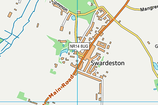 Swardeston Cricket Club map (NR14 8UG) - OS VectorMap District (Ordnance Survey)