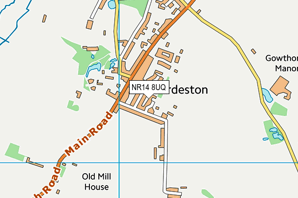 NR14 8UQ map - OS VectorMap District (Ordnance Survey)