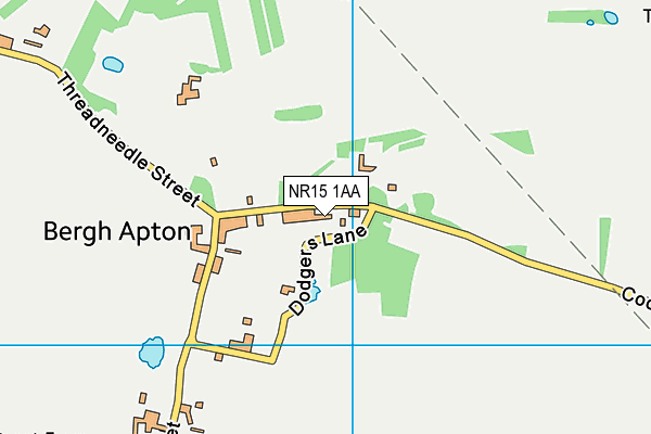NR15 1AA map - OS VectorMap District (Ordnance Survey)