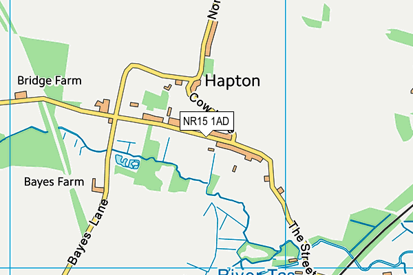 Hapton C Of E Primary School map (NR15 1AD) - OS VectorMap District (Ordnance Survey)