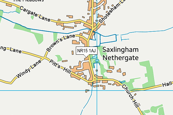 NR15 1AJ map - OS VectorMap District (Ordnance Survey)