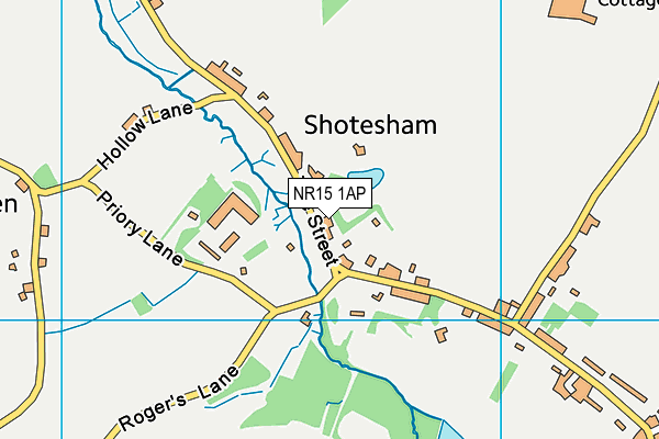 NR15 1AP map - OS VectorMap District (Ordnance Survey)