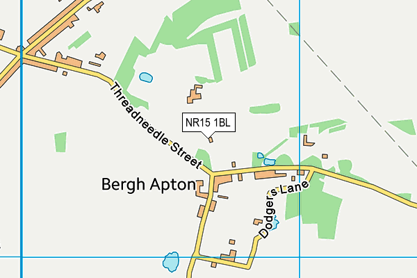 NR15 1BL map - OS VectorMap District (Ordnance Survey)