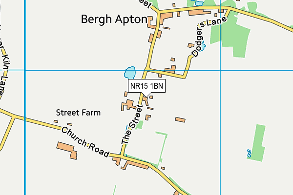NR15 1BN map - OS VectorMap District (Ordnance Survey)