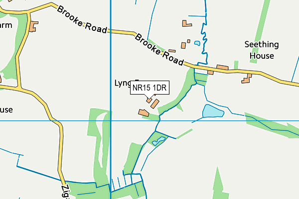 NR15 1DR map - OS VectorMap District (Ordnance Survey)