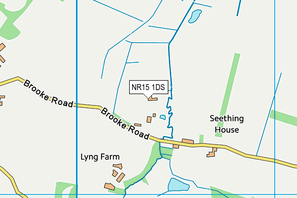 NR15 1DS map - OS VectorMap District (Ordnance Survey)