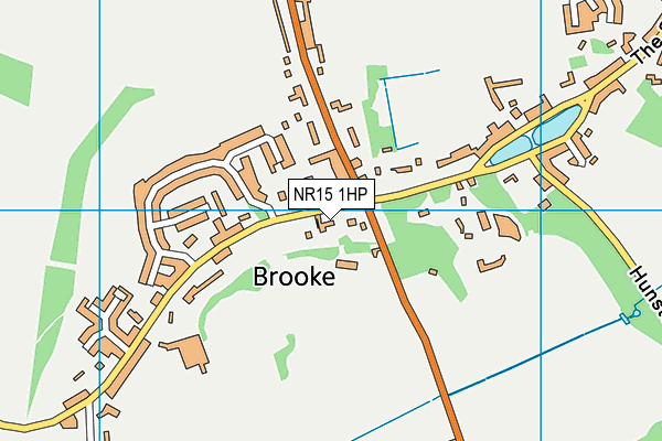 Brooke Voluntary Controlled Church of England Primary School map (NR15 1HP) - OS VectorMap District (Ordnance Survey)