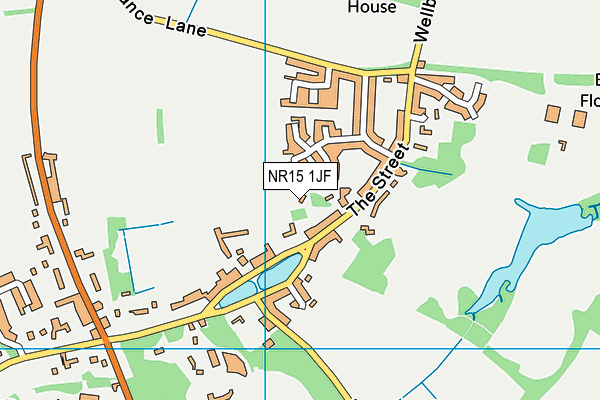 NR15 1JF map - OS VectorMap District (Ordnance Survey)
