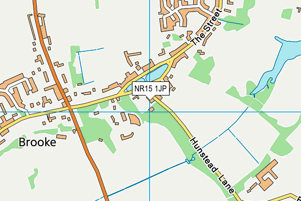 NR15 1JP map - OS VectorMap District (Ordnance Survey)