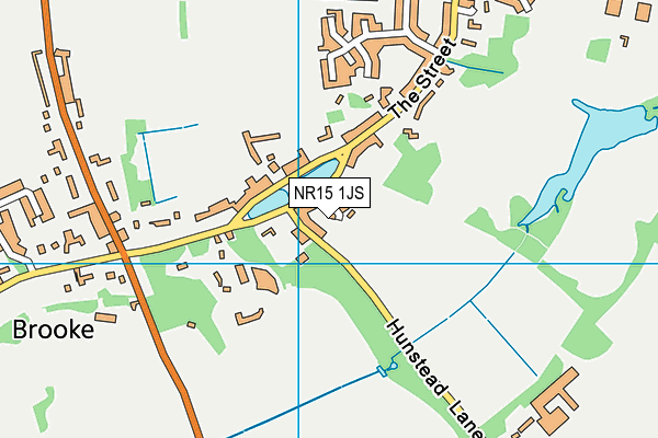 NR15 1JS map - OS VectorMap District (Ordnance Survey)