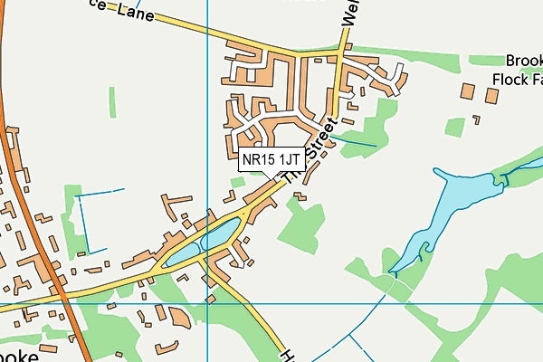 NR15 1JT map - OS VectorMap District (Ordnance Survey)