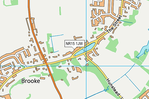 NR15 1JW map - OS VectorMap District (Ordnance Survey)