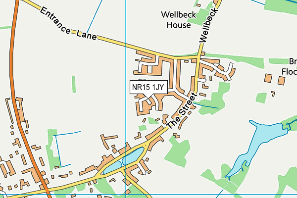 NR15 1JY map - OS VectorMap District (Ordnance Survey)