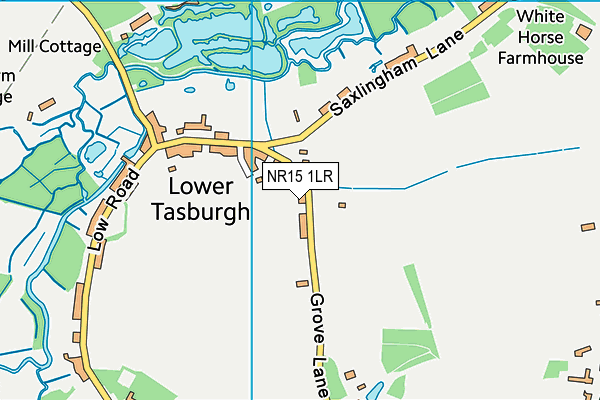 Tasburgh Village Playing Field map (NR15 1LR) - OS VectorMap District (Ordnance Survey)