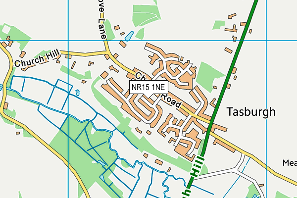 NR15 1NE map - OS VectorMap District (Ordnance Survey)