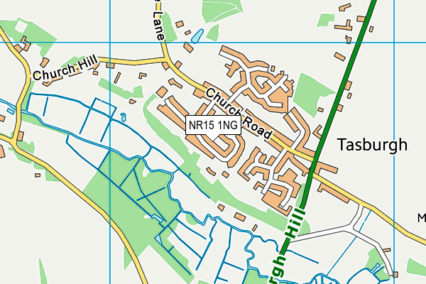 NR15 1NG map - OS VectorMap District (Ordnance Survey)