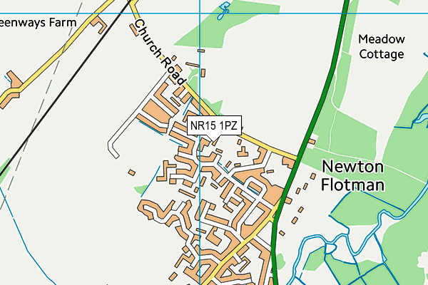 NR15 1PZ map - OS VectorMap District (Ordnance Survey)