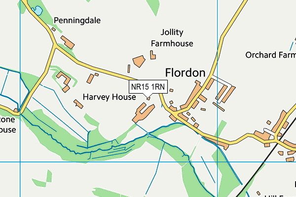 NR15 1RN map - OS VectorMap District (Ordnance Survey)