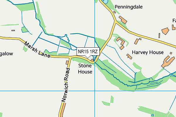 NR15 1RZ map - OS VectorMap District (Ordnance Survey)