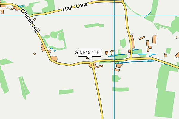 NR15 1TF map - OS VectorMap District (Ordnance Survey)