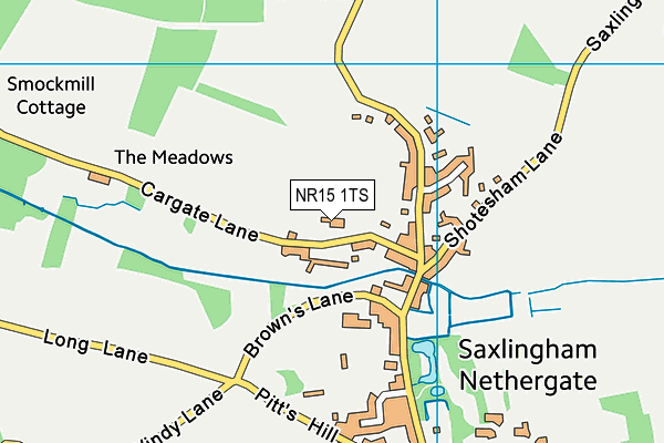 NR15 1TS map - OS VectorMap District (Ordnance Survey)