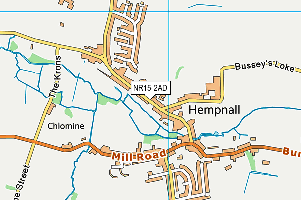 Hempnall Primary School map (NR15 2AD) - OS VectorMap District (Ordnance Survey)