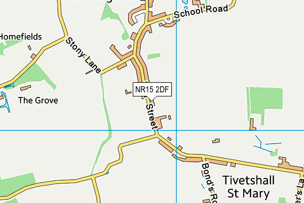 NR15 2DF map - OS VectorMap District (Ordnance Survey)