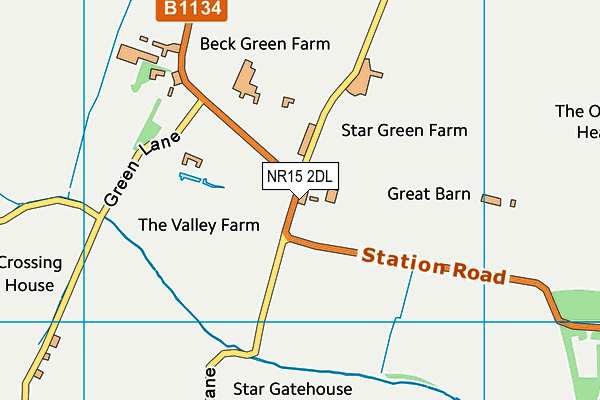 NR15 2DL map - OS VectorMap District (Ordnance Survey)