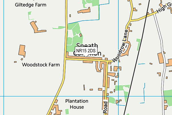 NR15 2DS map - OS VectorMap District (Ordnance Survey)