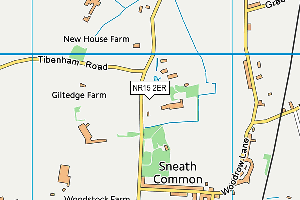 NR15 2ER map - OS VectorMap District (Ordnance Survey)