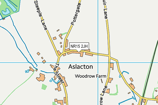 Aslacton Primary School map (NR15 2JH) - OS VectorMap District (Ordnance Survey)