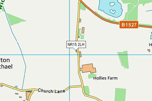 NR15 2LH map - OS VectorMap District (Ordnance Survey)