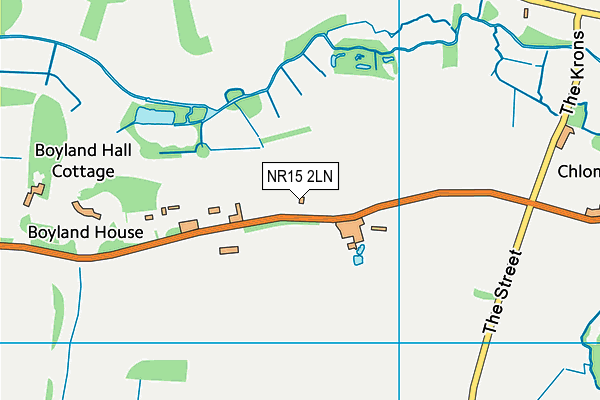 NR15 2LN map - OS VectorMap District (Ordnance Survey)