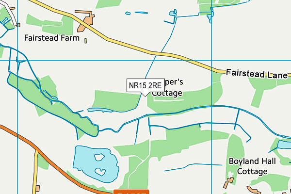 NR15 2RE map - OS VectorMap District (Ordnance Survey)