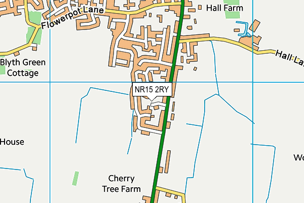 NR15 2RY map - OS VectorMap District (Ordnance Survey)