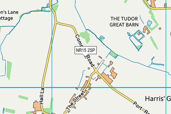 NR15 2SP map - OS VectorMap District (Ordnance Survey)
