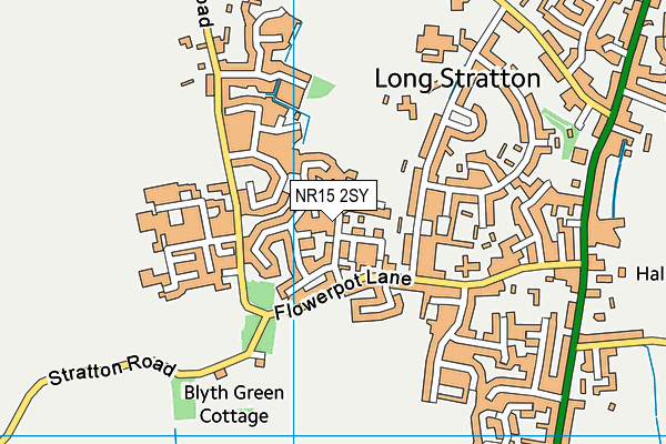 NR15 2SY map - OS VectorMap District (Ordnance Survey)