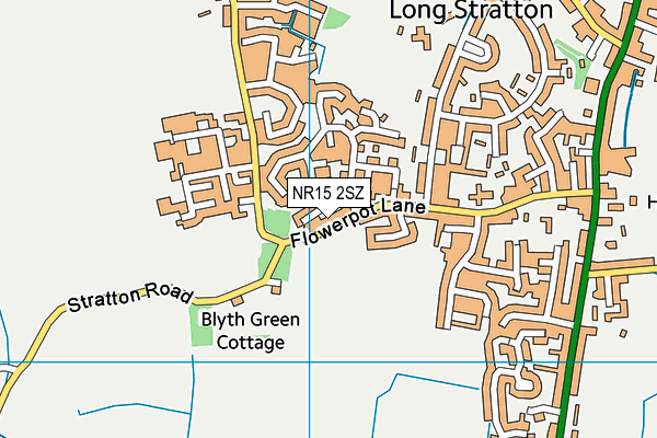 NR15 2SZ map - OS VectorMap District (Ordnance Survey)