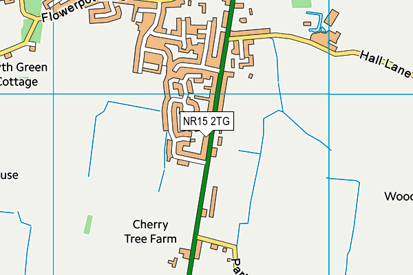 NR15 2TG map - OS VectorMap District (Ordnance Survey)