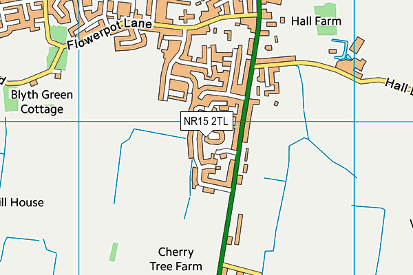NR15 2TL map - OS VectorMap District (Ordnance Survey)