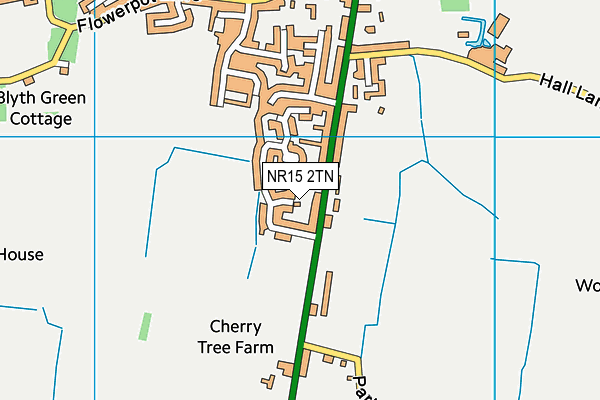 NR15 2TN map - OS VectorMap District (Ordnance Survey)