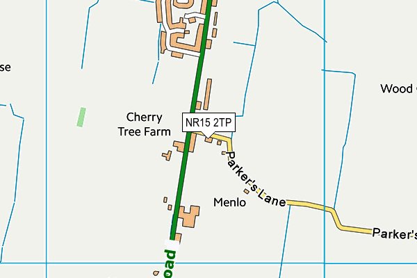 NR15 2TP map - OS VectorMap District (Ordnance Survey)