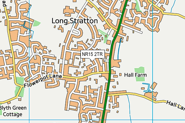 NR15 2TR map - OS VectorMap District (Ordnance Survey)