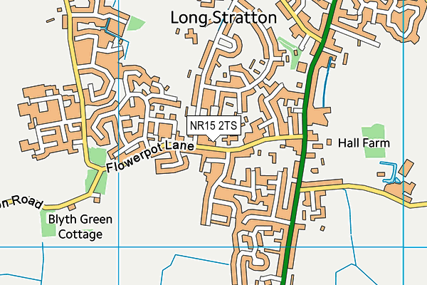 NR15 2TS map - OS VectorMap District (Ordnance Survey)