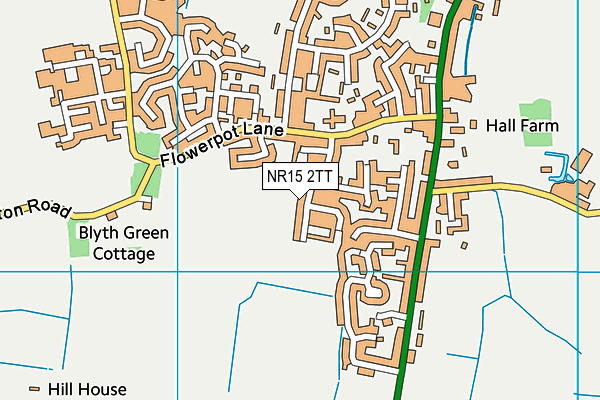 NR15 2TT map - OS VectorMap District (Ordnance Survey)