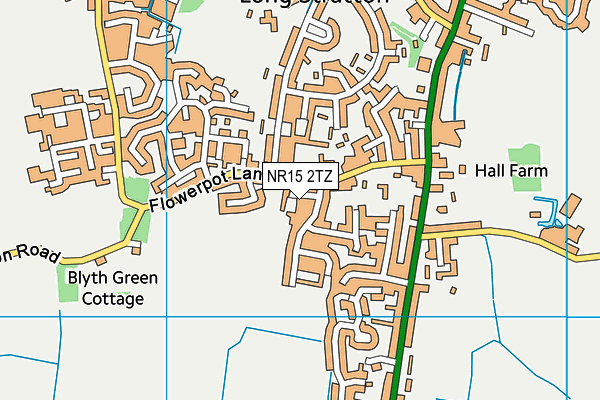 NR15 2TZ map - OS VectorMap District (Ordnance Survey)